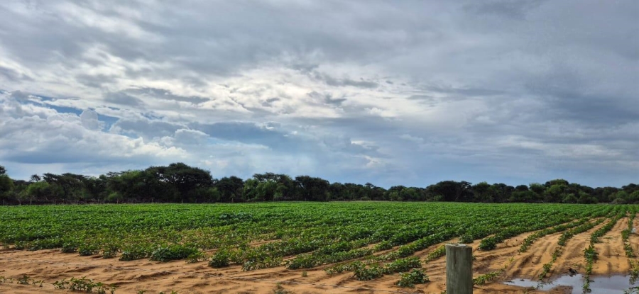  Bedroom Property for Sale in Hoopstad Rural Free State